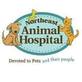 Northeast Animal Hospital in Saint Petersburg, FL Animal Hospitals