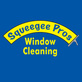 Squeegee Pros in Mooresville, NC Window & Blind Cleaning