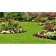 Lawn Maintenance Services in Lynchburg, VA 24501