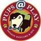 Pups@play in Livingston, NJ Pet Boarding & Grooming