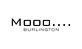 Mooo Burlington in Burlington, MA Steak House Restaurants