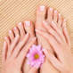Elite Nails & Spa in McAllen, TX Manicurists & Pedicurists