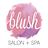 Blush Salon + Spa in Kalamazoo, MI