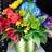 Priscilla's Flower Shoppe in Irving, TX