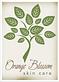 Orange Blossom Skin Care in Austin, TX Skin Care Products & Treatments