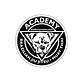 The Academy in Portland, ME Sports & Recreational Services