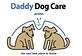Daddy Dog Care in Mundelein, IL Pet Boarding & Grooming