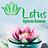 Lotus Vegetarian Restaurant in Pinellas Park, FL