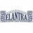 Elantra Gate Systems in Fairview, TN