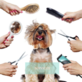 Pet Boarding & Grooming in Old Bridge, NJ 08857