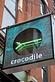 Crocodile in Chicago, IL Pizza Restaurant
