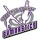 Cabarrus County Gymnastics in Concord, NC Sports & Recreational Services