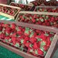 Diederich Berry Farms in Webberville, MI Fruit & Vegetables