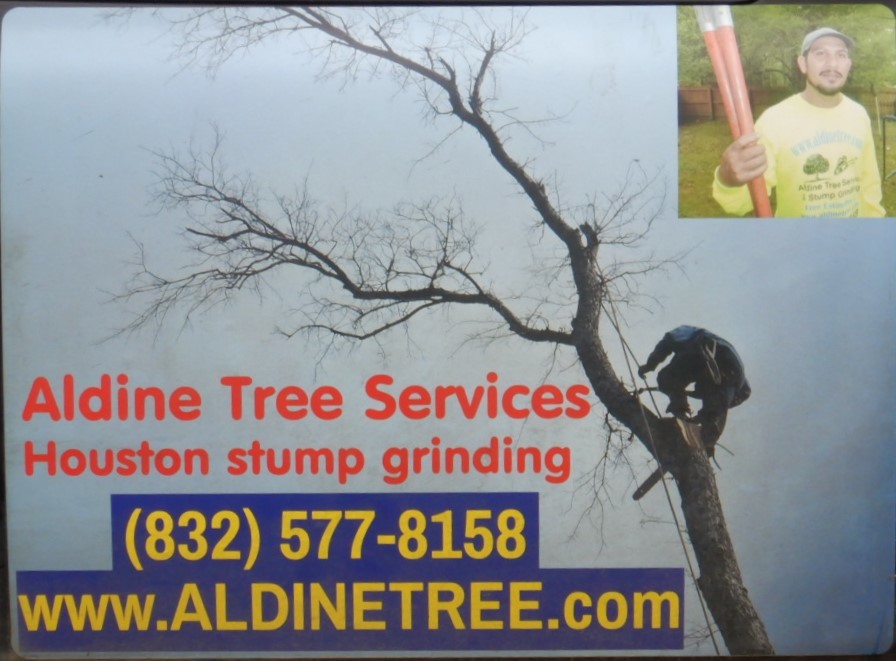 $50 Savings on any project $500 or more (Up to $100 off)
