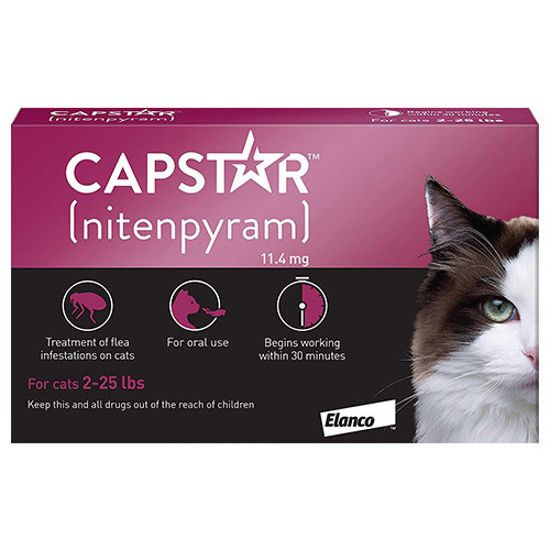 Capstar For Cats