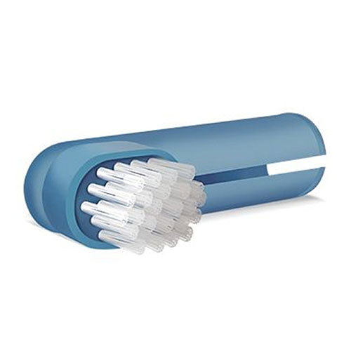 Buy Pet Dent Finger Brush