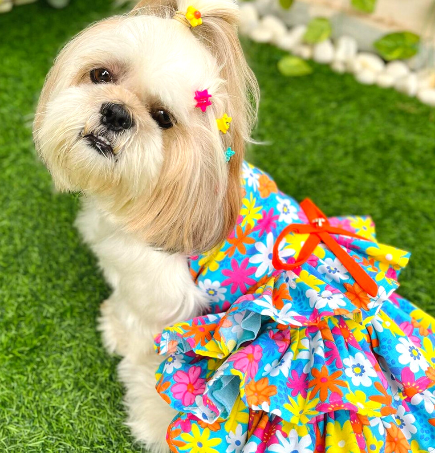 Dog Frock