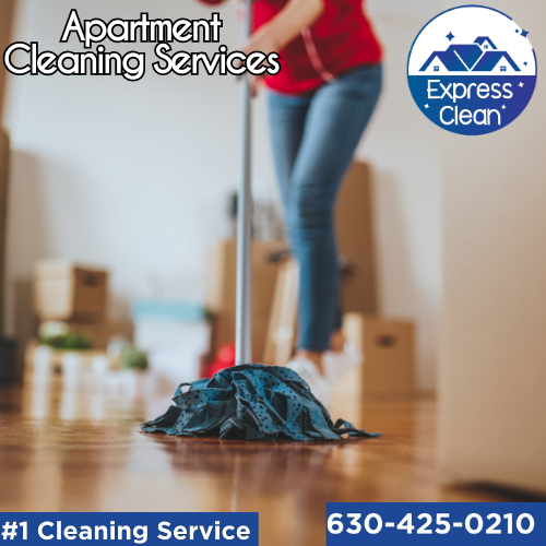 Apartment  Cleaning Chicago, Illinois