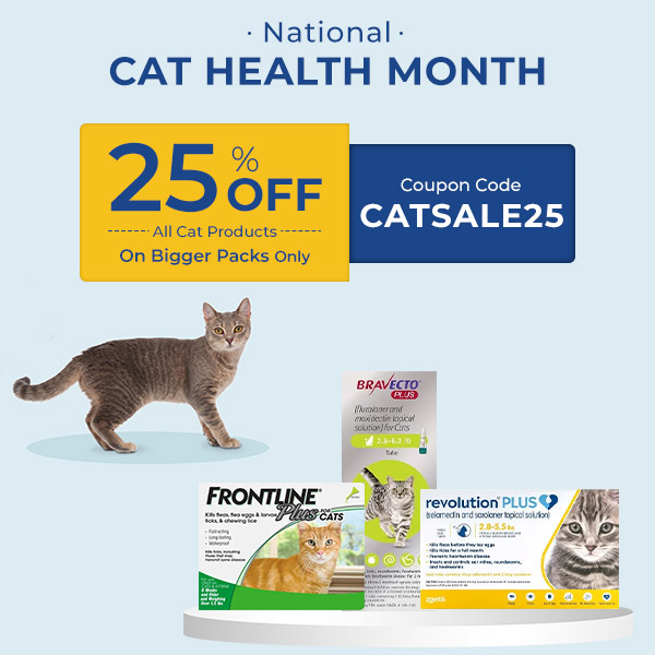 National Cat Health Month Sale - Flat 25% on All Cat Products