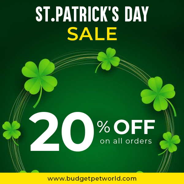 Celebrate St. Patricks With BudgetPetWorld- Shop all Pet Supplies at 20% Off