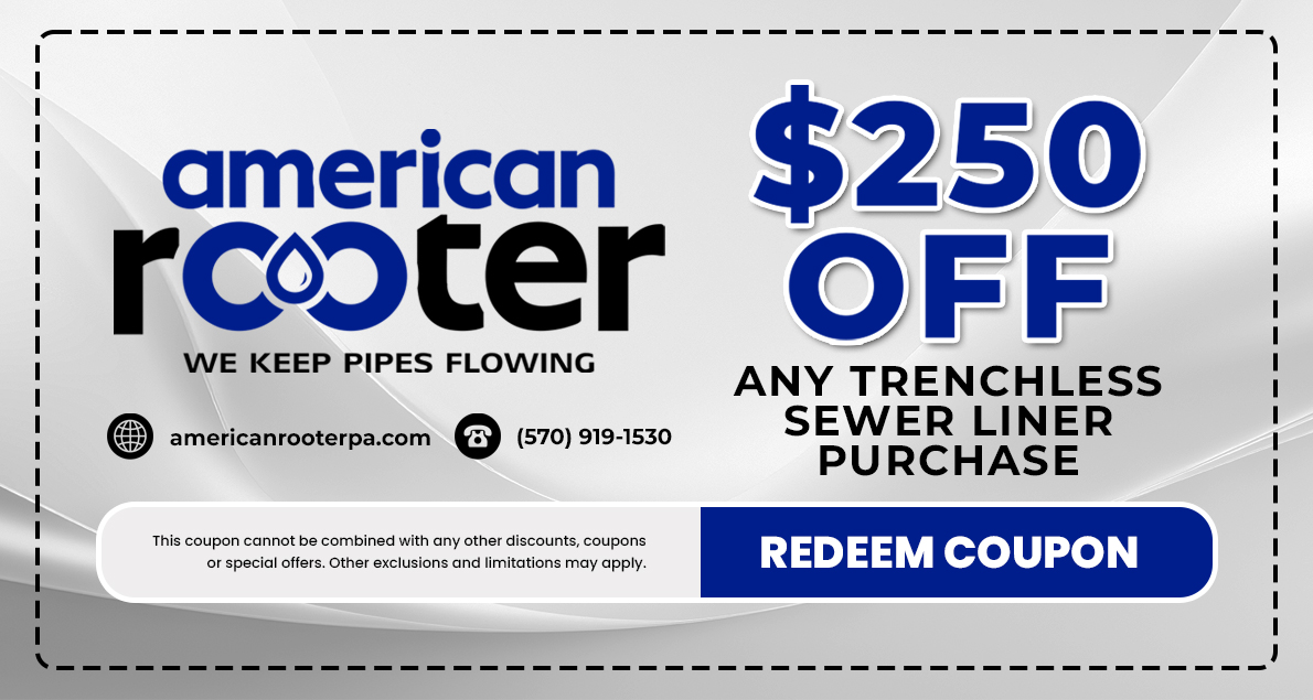 $250 OFF ANY TRENCHLESS SEWER LINER PURCHASE