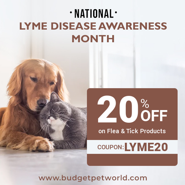 Lyme Disease Awareness- Flat 20% off on Flea and Tick Treatment