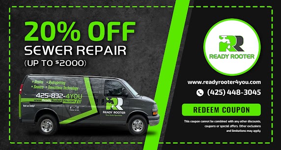 20% OFF SEWER REPAIR (UP TO $2000)
