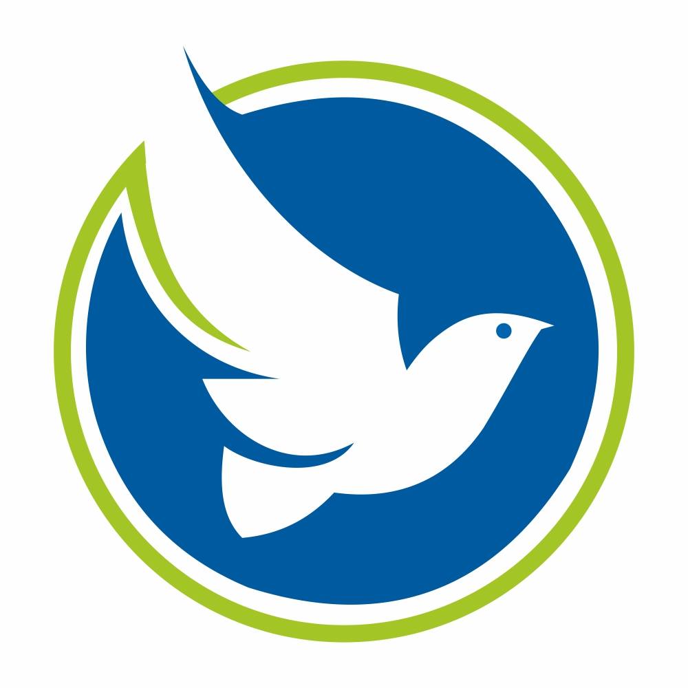 Best Solar Panel Manufacturer in India - Bluebird Solar