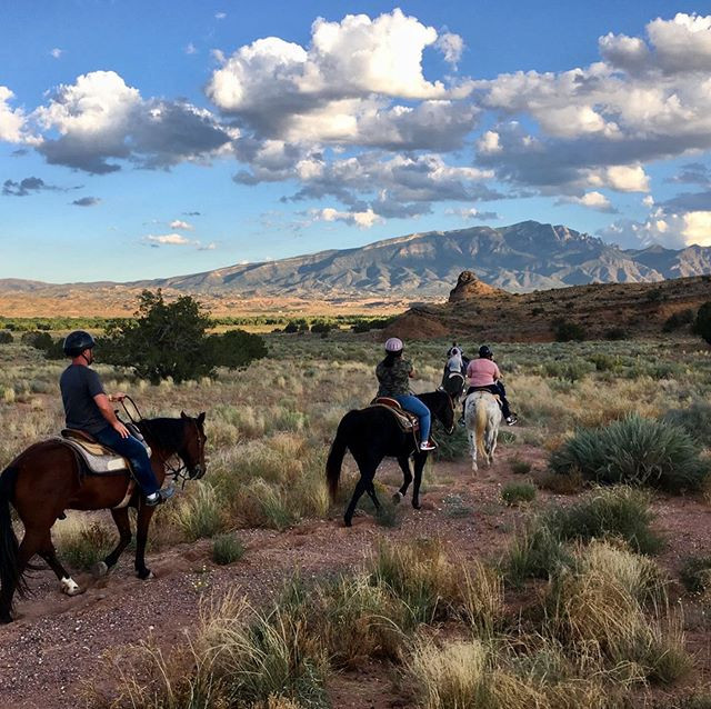 Explorer Horseback Riding of Phoenix