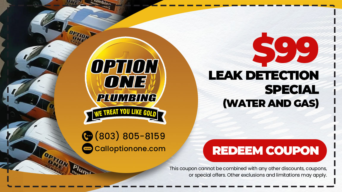 $99 LEAK DETECTION SPECIAL (WATER AND GAS)