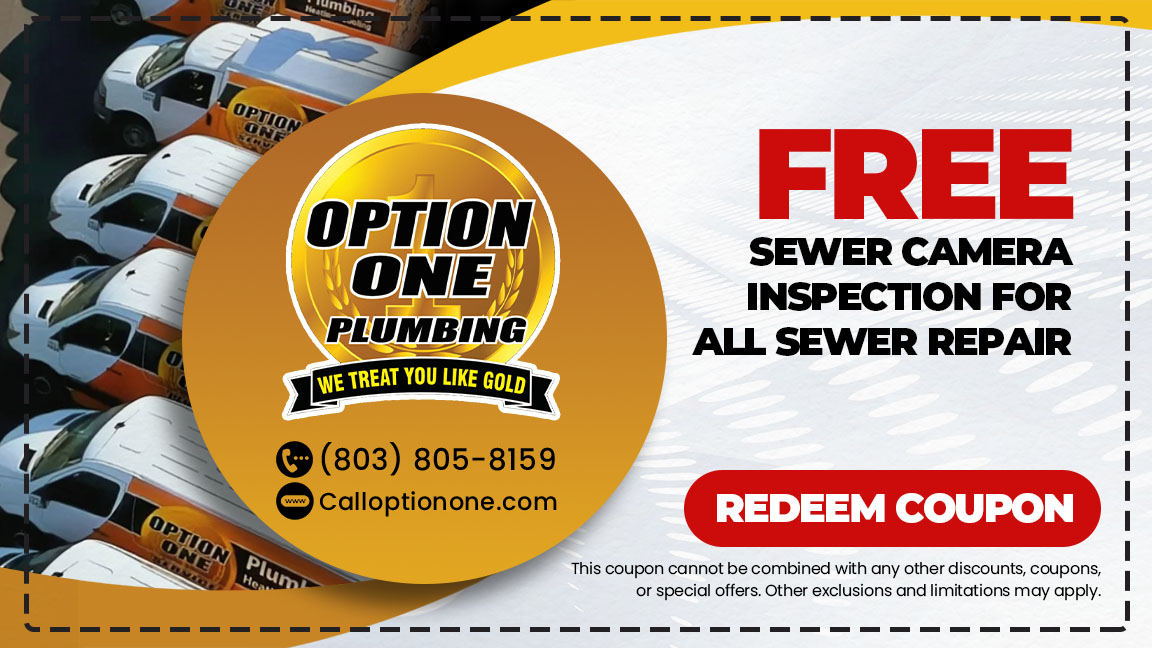 FREE SEWER CAMERA INSPECTION FOR ALL SEWER REPAIR