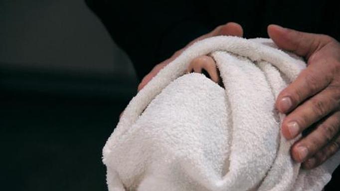 Product: hot towel and peppermint - Mikel’s The Paul Mitchell Experience in Tampa, FL Day Spas