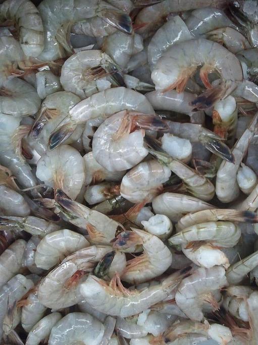 Product: Fresh, Local Shrimp - Mt. Pleasant Seafood in Mount Pleasant, SC Seafood Restaurants