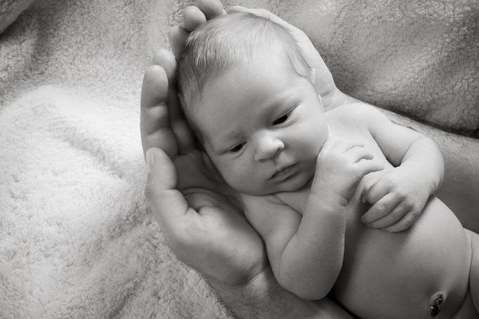 Product - Photography By Nanci Kerby in Napa, CA Misc Photographers