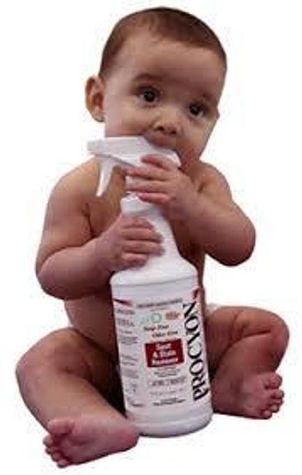 Product - R&R Carpet Cleaning in Bellaire West - Houston, TX Carpet Rug & Upholstery Cleaners