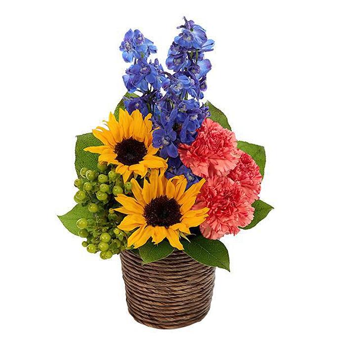 Product - Strawberry Essence Florist in Buckhannon, WV Florists