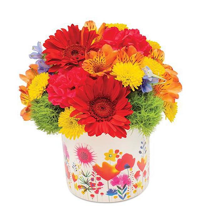 Product - Hearts and Flowers of Coral Springs in Coral Springs, FL Florists