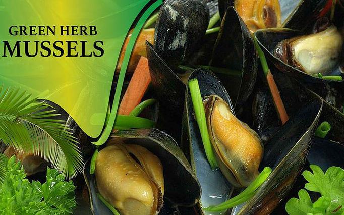 Product - Mo-Bay Grill in Sebastian, FL American Restaurants