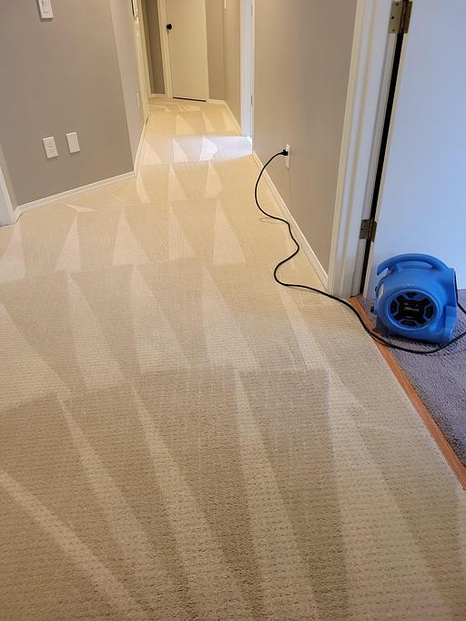 Product: Cleaner Longer Package to thoroughly FRESHEN up your carpets. - Pacific Steam Carpet Cleaning in Hawthorne - Portland, OR Carpet Rug & Upholstery Cleaners