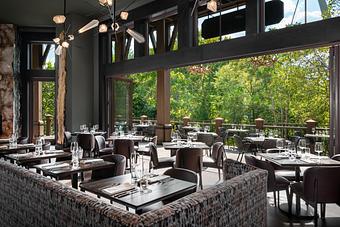 Interior - Between the Trees in Downtown Greenville/Reedy Falls - Greenville, SC American Restaurants