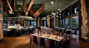Interior - Between the Trees in Downtown Greenville/Reedy Falls - Greenville, SC American Restaurants