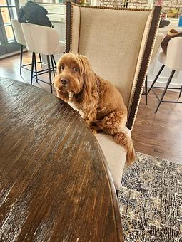 Product - Blue Pan Pizza in West Higlands - Denver, CO Dessert Restaurants