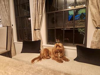 Product - Blue Pan Pizza in South Golden - Golden, CO American Restaurants Product - Blue Pan Pizza in South Golden - Golden, CO American Restaurants