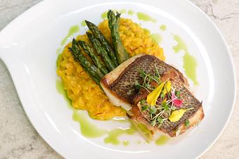 Product: Lightly Cajun-Spiced Snapper Filet, Saffron Risotto, Asparagus, Chive Oil - The Palms AVEDA Spa in Miami Beach - Miami Beach, FL Beauty Salons