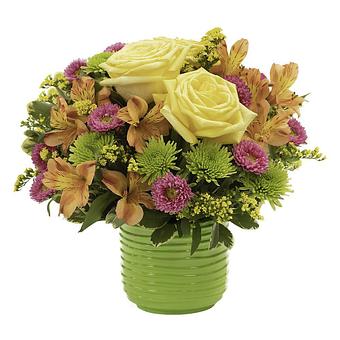 unclassified - Flower Basket in Fairfield, CA Florists