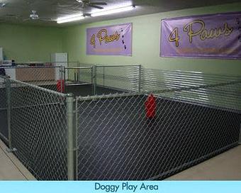 Interior - 4Paws, LLC in Spartanburg, SC Pet Care Services