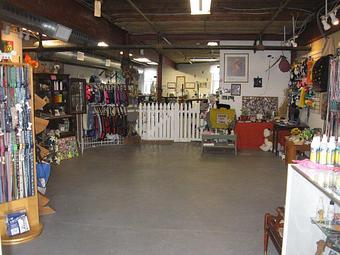 Interior - A Classic Clip Plus Pet Grooming & Boutique in Collegeville, PA Pet Boarding & Grooming