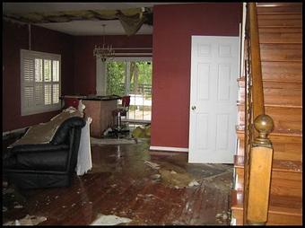 Interior - A1A Extreme Green Cleaning in Delray Beach, FL Carpet Rug & Upholstery Cleaners