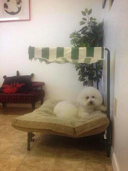 Interior - Accent Pet Styling in Port Charlotte, FL Pet Boarding & Grooming