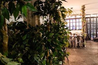 Interior - Ahimsa Garden in Midtown East - Murray Hill - New York, NY Indian Restaurants